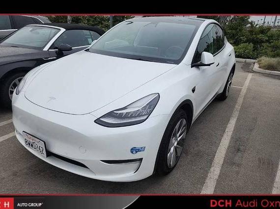 TESLA MODEL Y 2021 5YJYGDEE7MF213545 image